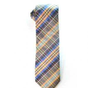 Checked Multicolor Tie