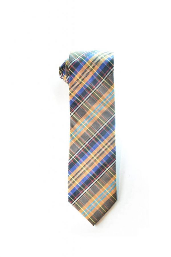 Checked Multicolor Tie